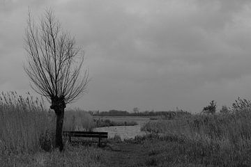 Komm und setz dich in die Wieden von Framed by Elisabeth