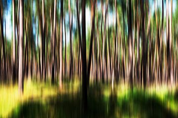 Une forêt mouvementée