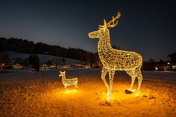 Wintermagie in het park van Oberstaufen van Leo Schindzielorz