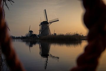 Doorkijk op de Polder