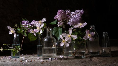 Stillife Dark | clematis & lilas
