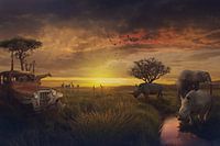 The beauty of Africa