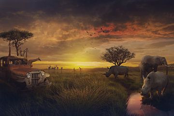 The beauty of Africa by Bert Hooijer