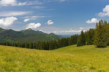 Landschap in de Alpen in het Salzburger Land van Alexander Ließ