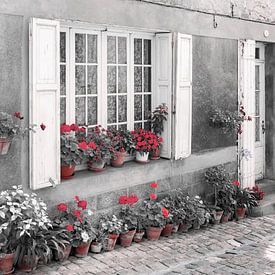 Street scene with flowerpots, flowers and shutters in France by Evelien Oerlemans