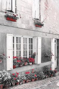 Scène de rue avec pots de fleurs, fleurs et volets en France