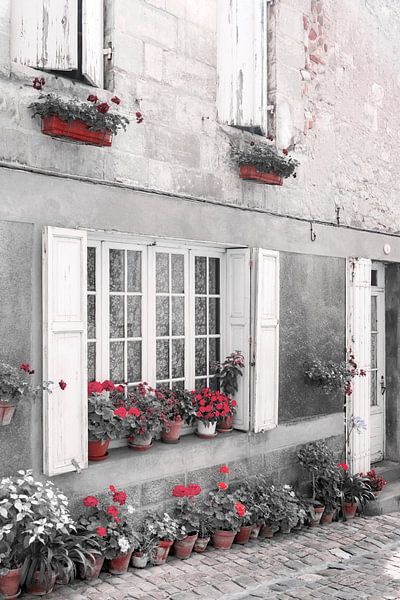 Straßenszene mit Blumentöpfen, Blumen und Fensterläden in Frankreich von Evelien Oerlemans
