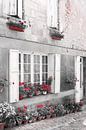 Straßenszene mit Blumentöpfen, Blumen und Fensterläden in Frankreich von Evelien Oerlemans Miniaturansicht