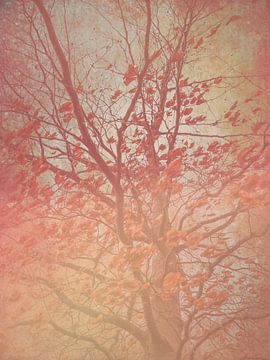 Dreamy landscape of a tree in warm colours by Imaginative