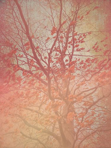 Paysage de rêve d'un arbre aux couleurs chaudes