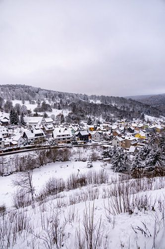 Korte winterwandeling door diepe sneeuw in het Thüringer Woud bij Oberhof - Thüringen - Duitsland
