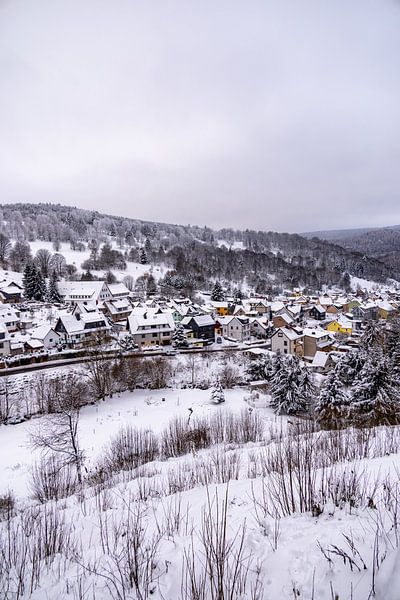 Petite randonnée hivernale dans la neige profonde de la forêt de Thuringe près d'Oberhof - Thuringe - Allemagne par Oliver Hlavaty