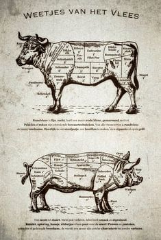 Faits intéressants sur la viande