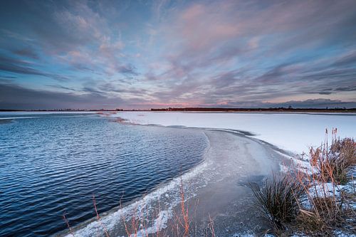 't Roegwold in the area Duurswold