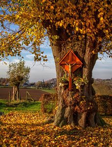 Herfst in Zuid-Limburg van John Kreukniet