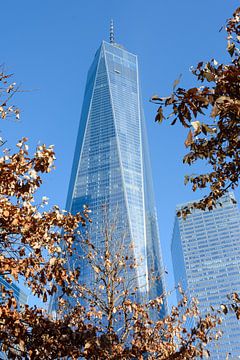 One World Trade Center van Lisa Stelzel