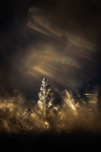 Cristal de glace dans la lumière dorée
