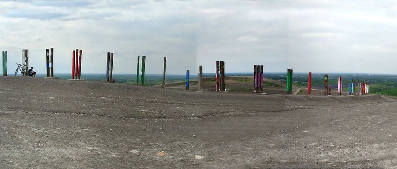 Haldenpanorama van Edgar Schermaul