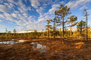 Landschaft in Schweden zum Sonnenaufgang