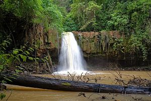 Wilde Flucht am kambodschanischen Wasserfall