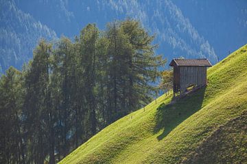 Alpine pasture with hay barn by Torsten Krüger