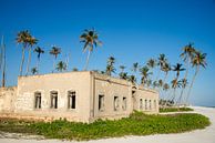 Ruin and palm trees on Salalah beach, Oman by Jan Fritz thumbnail
