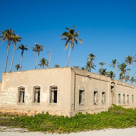 Ruin and palm trees on Salalah beach, Oman by Jan Fritz