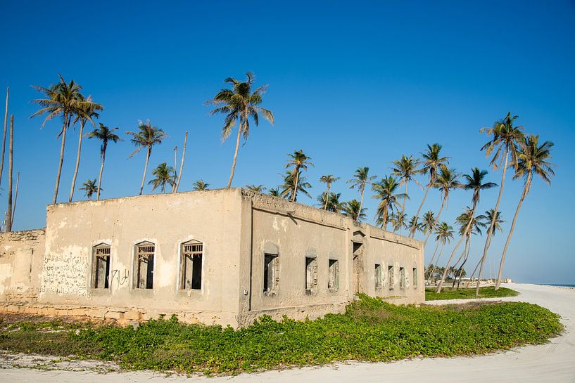 Ruin and palm trees on Salalah beach, Oman by Jan Fritz