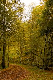 On the Road to... by Edgar Lanting