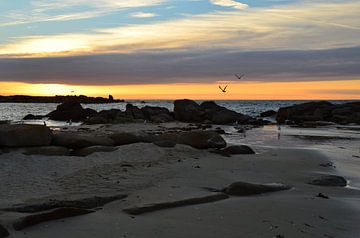 Sonnenuntergang mit Seemöwen in der Bretagne von 7Horses Photography