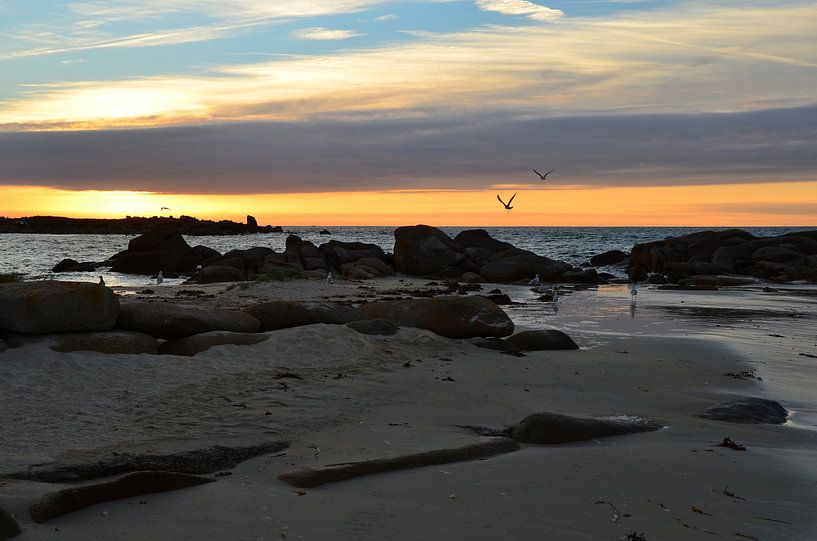Sonnenuntergang mit Seemöwen in der Bretagne von 7Horses Photography