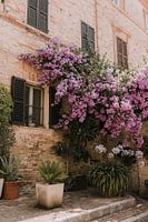 Bellagio | Voor deur | Roze bloemen | Italie