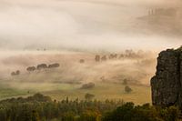 Mystical mists