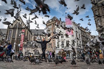 Duiven op de dam