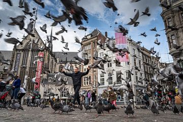 Pigeons on the dam by Hans Hordijk