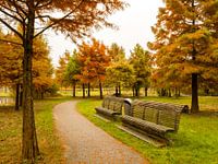 Herfst bankjes