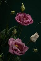 bloemen