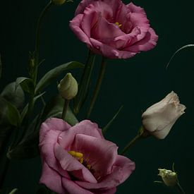 flowers by José Lugtenberg