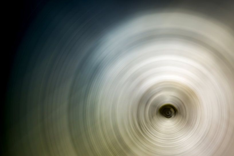 Cercles concentriques par Günter Albers