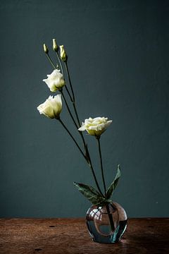 Weiße Rose in Glasvase vor blauem Hintergrund von Jenneke Boeijink