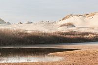 Paysage de dunes avec de l'eau à Terschelling