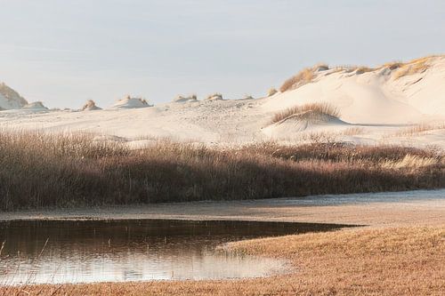 Duinlandschap met water op Terschelling