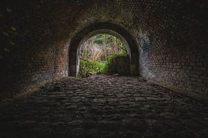 Il y a de la lumière au bout du tunnel sur Steven Dijkshoorn