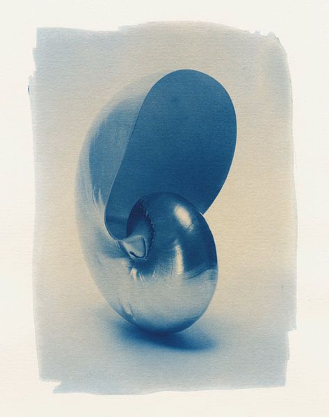 Nautilus in Cyanotypie von Willie Jan Bons