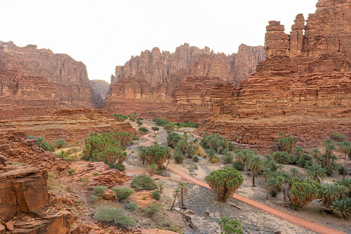Groene oase in de rode rotskloof van Wadi Disah