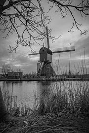 zwart wit kinderdijk molen