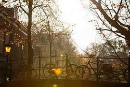 Vélos sur le pont de la Madeleine à contre-jour en automne sur André Blom Fotografie Utrecht