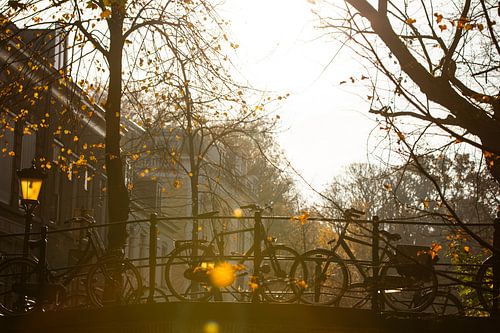 De fietsen op de Magdalenabrug bij tegenlicht in de herfst