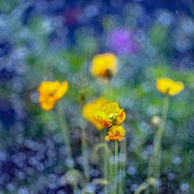 Bloemen in geel en blauw van Thomas Riess