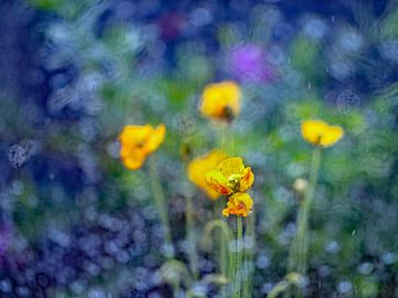 Bloemen in geel en blauw van Thomas Riess